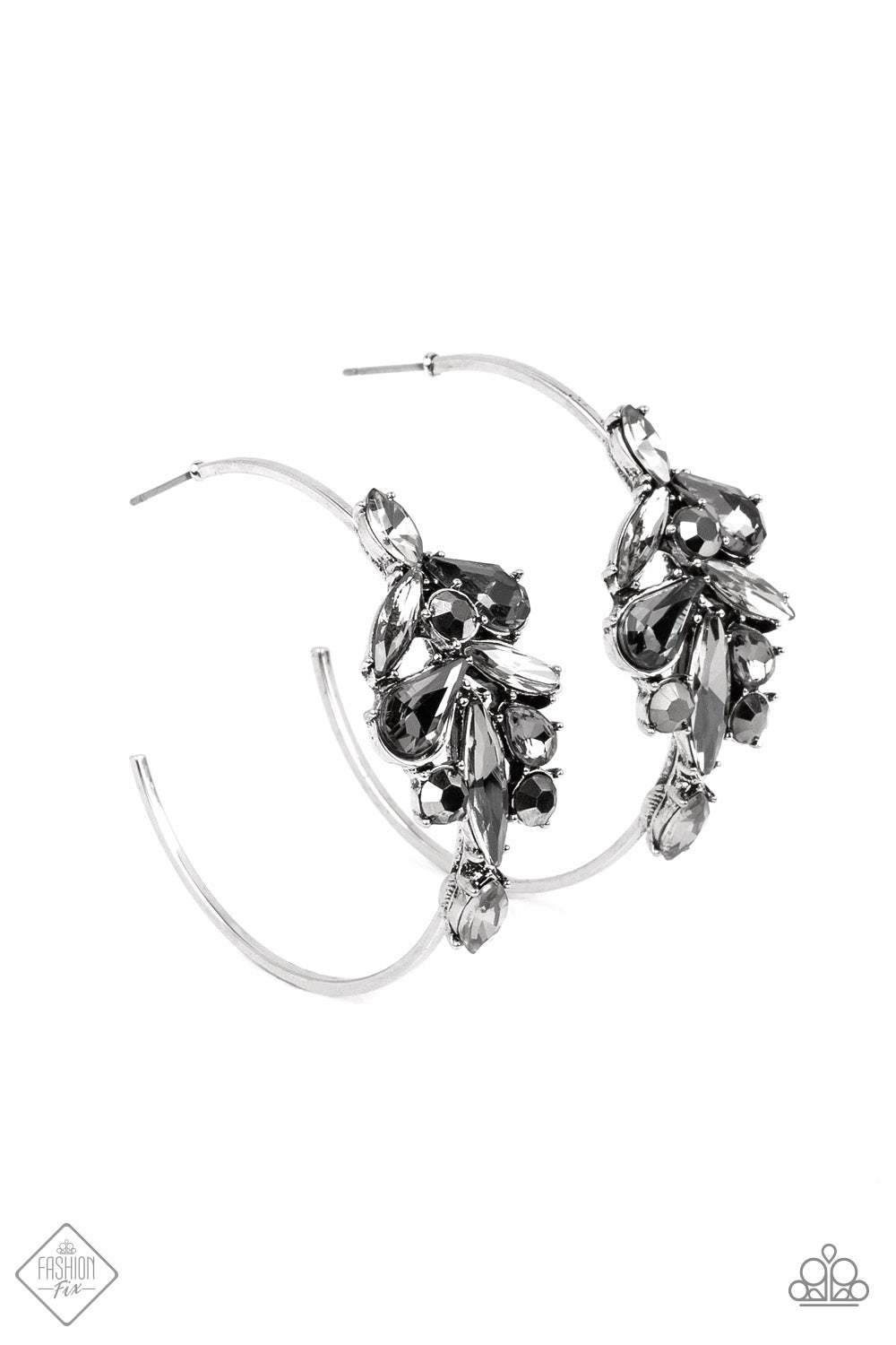 Arctic Attitude - Silver Hoop Earrings